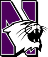 Logo Northwestern Wildcats