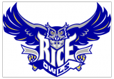 Rice Owls