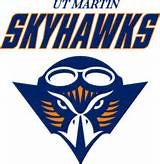 Logo Tenn-Martin Skyhawks