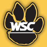 Wayne St. NE Wildcats